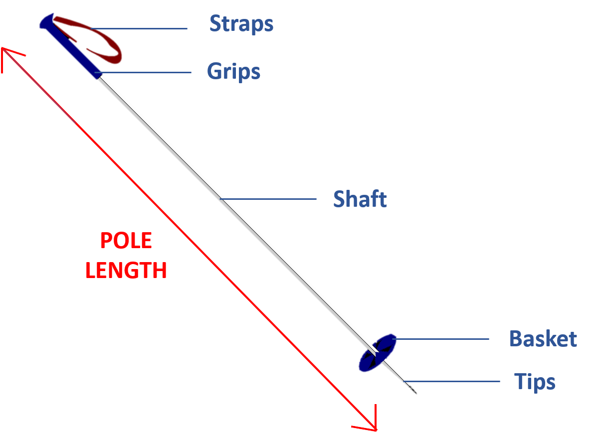 How is Ski Pole Length Measured? Onto the Slopes